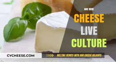 Is Brie Cheese a Live Culture? Uncovering the Truth Behind This Creamy Delight