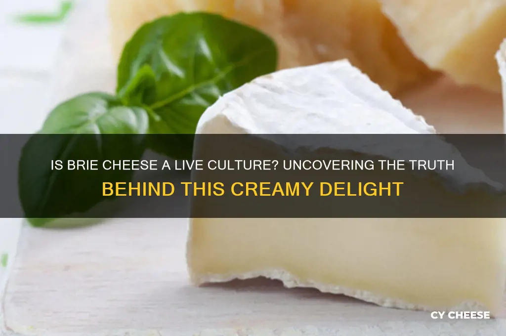 are brie cheese live culture