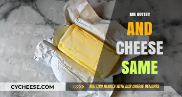 Butter vs. Cheese: Unraveling the Dairy Duo's Differences and Similarities