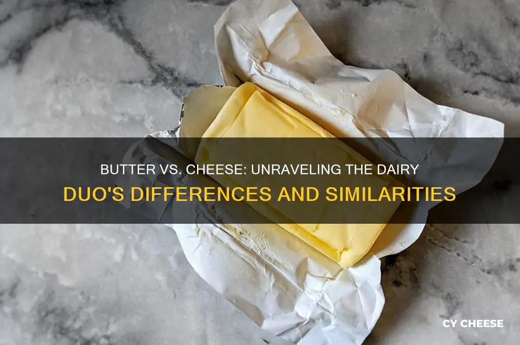 are butter and cheese same