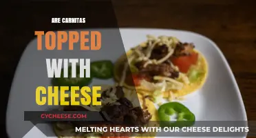 Carnitas Topped with Cheese: A Delicious Mexican Fusion Debate