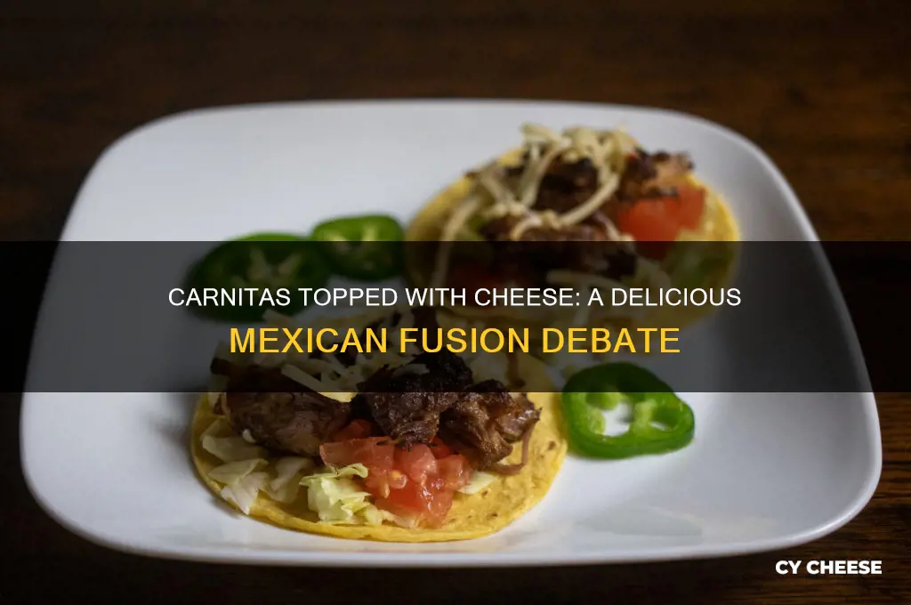 are carnitas topped with cheese