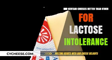 Lactose Intolerance and Cheese: Which Varieties Are Easier to Digest?