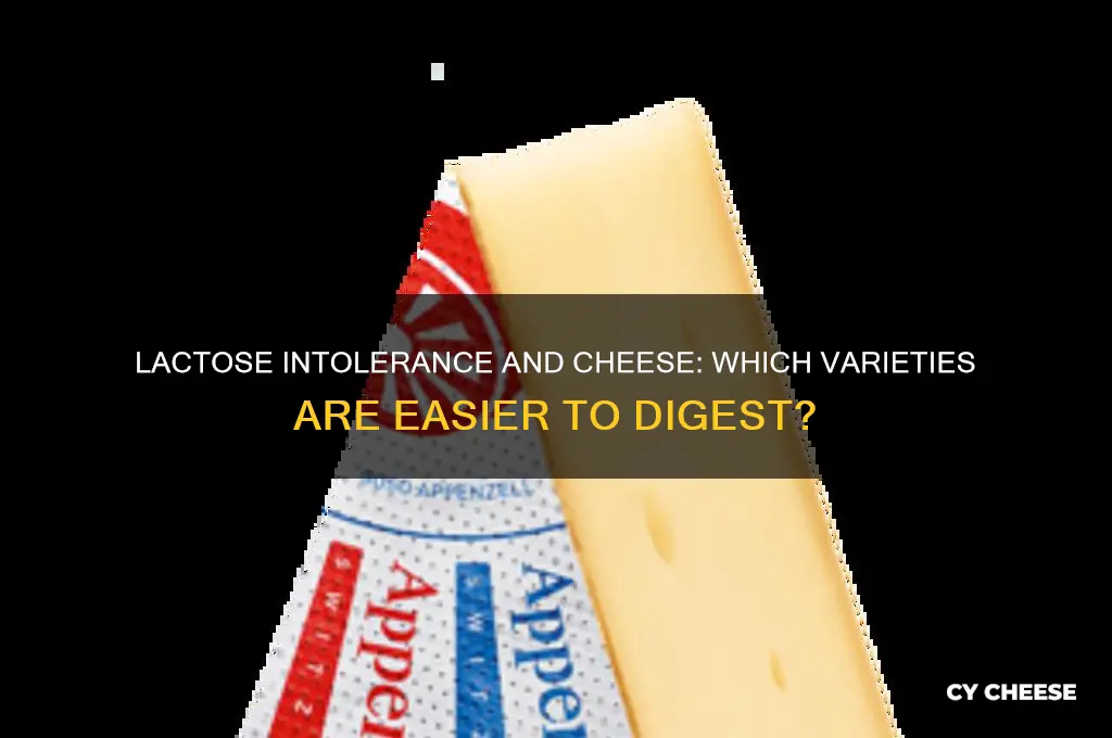 are certain cheeses better than other for lactose intolerance