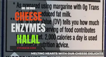 Is Cheddar Cheese Enzymes Halal? Unraveling the Mystery