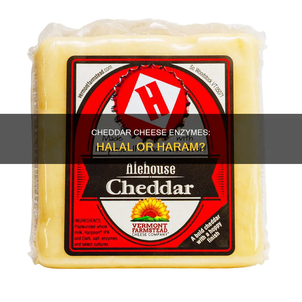 are cheddar cheese enzymes halal