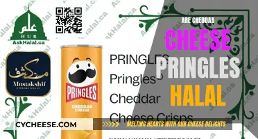 Cheddar Pringles: A Halal Snack or Not?