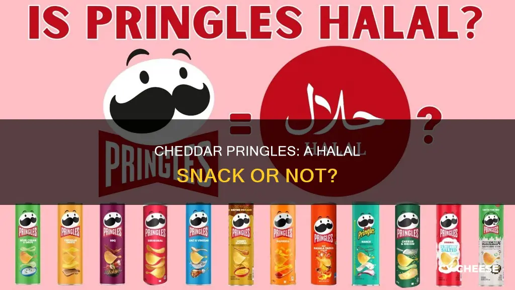 are cheddar cheese pringles halal