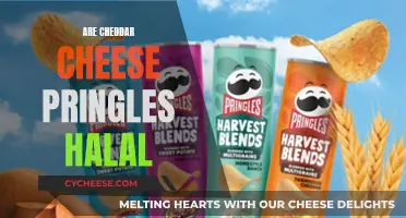 Cheddar Cheese Pringles: Halal or Not?