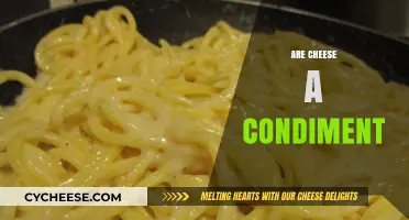 Is Cheese a Condiment? Debunking the Dairy Debate Once and For All