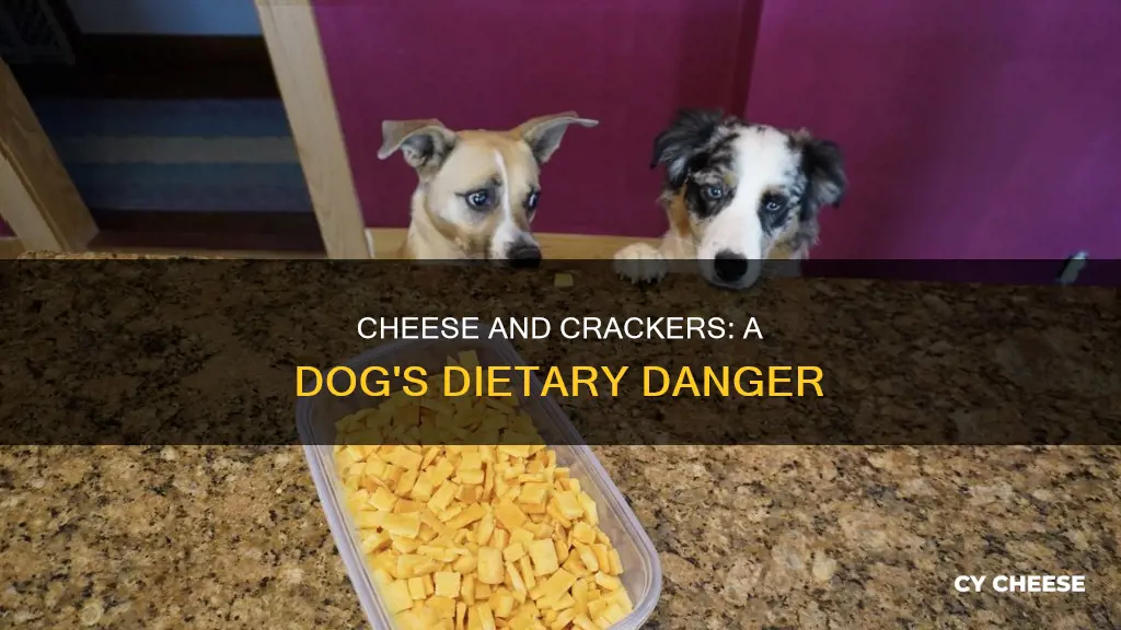 are cheese and cracker bad for dogs