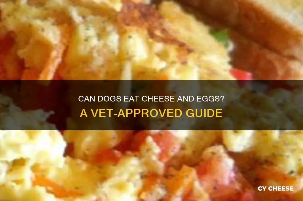 are cheese and eggs good for dogs