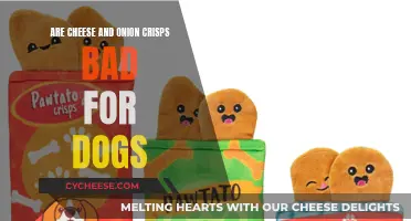 Cheese and Onion Crisps: Are They Safe for Dogs?