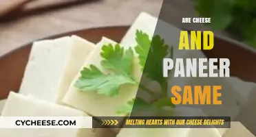Cheese vs Paneer: Unraveling the Dairy Differences and Similarities