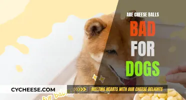 Cheese Balls: A Dog's Dietary Danger