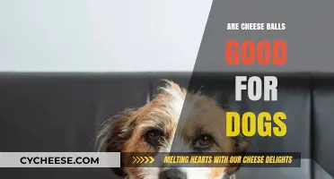 Can Dogs Eat Cheese Balls? Safety and Health Considerations Explained