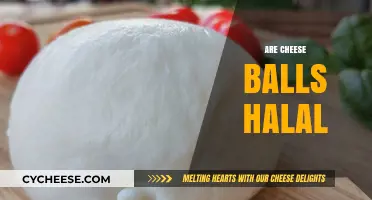 Are Cheese Balls Halal? Exploring Ingredients and Certification