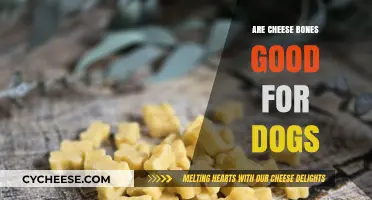 Cheese Bones for Dogs: Safe, Nutritious, or Harmful Treats?
