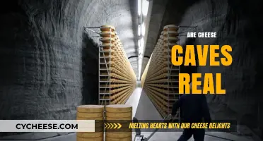Exploring the Truth: Are Cheese Caves Real or Just a Myth?