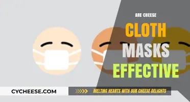 Cheesecloth Masks: Uncovering Their Effectiveness in Protecting Against Germs