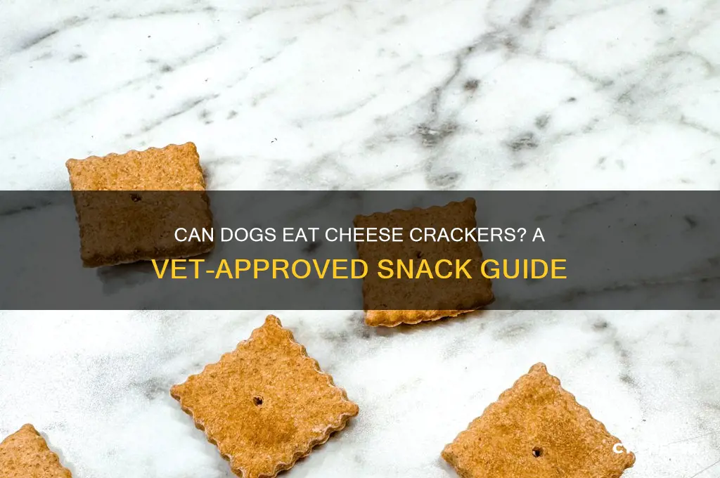 are cheese crackers good for dogs