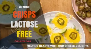 Cheese Crisps: Lactose-Free Snacking