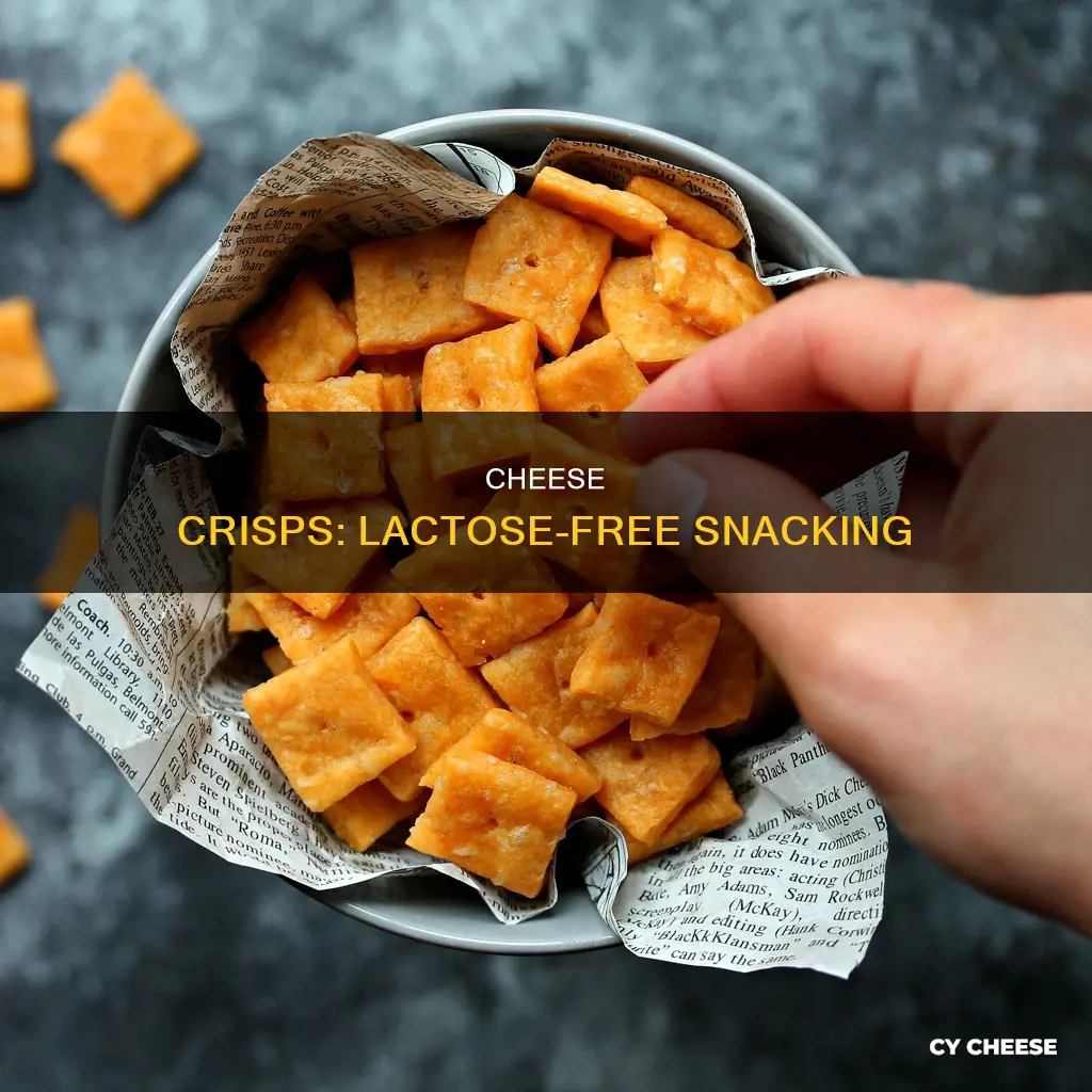 are cheese crisps lactose free