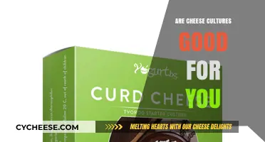 Cheese Cultures: Unlocking Health Benefits and Nutritional Value