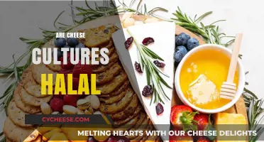 Are Cheese Cultures Halal? Exploring Ingredients and Certification