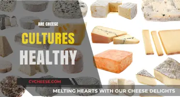 Cheese Cultures: Healthy or Unhealthy?