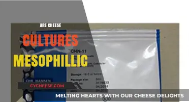 Mesophilic Cheese Cultures: Understanding Their Role in Cheese Making