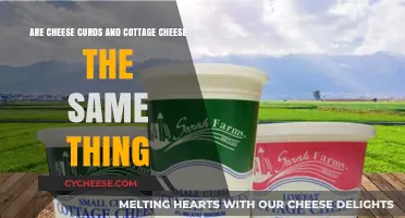 Cheese Curds vs Cottage Cheese: Unraveling the Dairy Difference