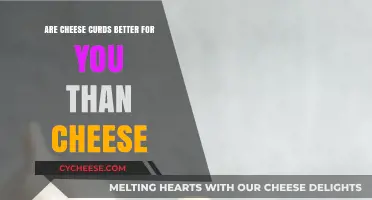 Cheese Curds vs. Cheese: Which is Healthier for You?