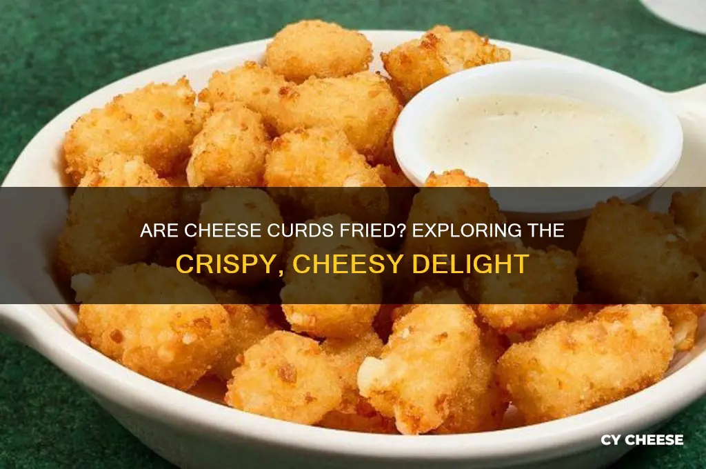 are cheese curds fried