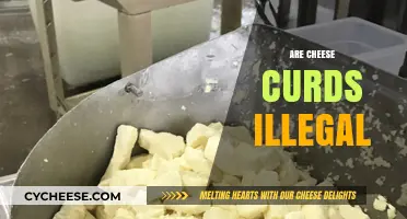 Are Cheese Curds Illegal? Unraveling the Truth Behind the Dairy Delicacy
