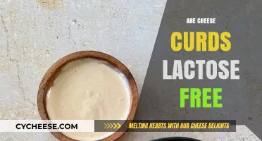 Cheese Curds: Lactose-Free Delicacy or Dairy Danger?