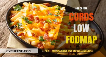 Are Cheese Curds Low FODMAP? A Diet-Friendly Snack Guide