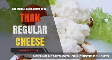 Cheese Curds vs. Regular Cheese: Which Has Less Fat?