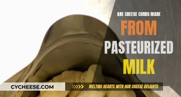 Cheese Curds: Pasteurized Milk's Delicious Transformation