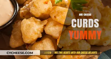 Are Cheese Curds Yummy? Exploring the Squeaky, Creamy Delight