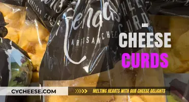 Exploring the Squeaky Delight: What Are Cheese Curds and Why Love Them?