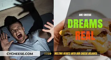Unraveling the Mystery: Are Cheese Dreams Real or Just a Myth?