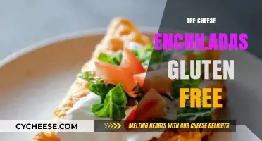 Gluten-Free Cheese Enchiladas: Are They Possible?