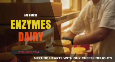Are Cheese Enzymes Dairy? Unraveling the Lactose Connection