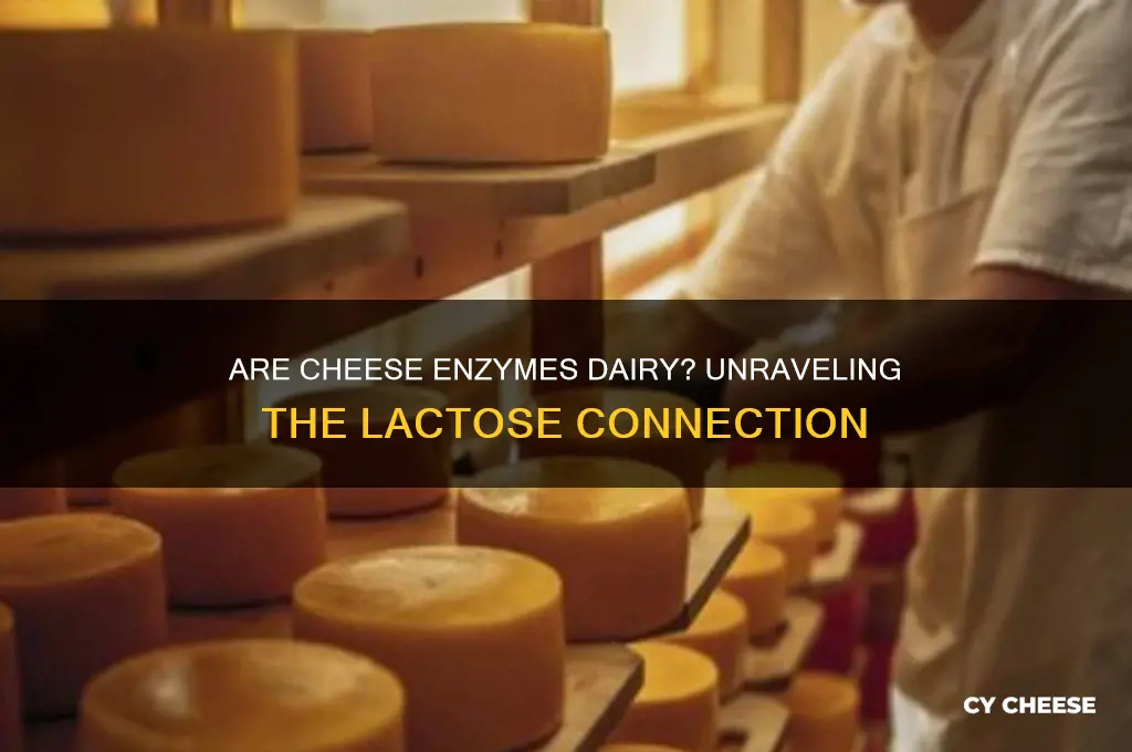 are cheese enzymes dairy