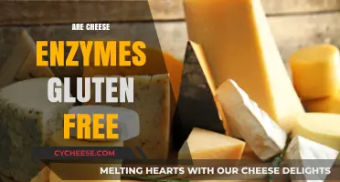 Cheese Enzymes: Are They Gluten-Free?