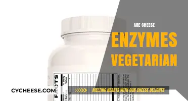 Are Cheese Enzymes Vegetarian? Unraveling the Dairy Dilemma