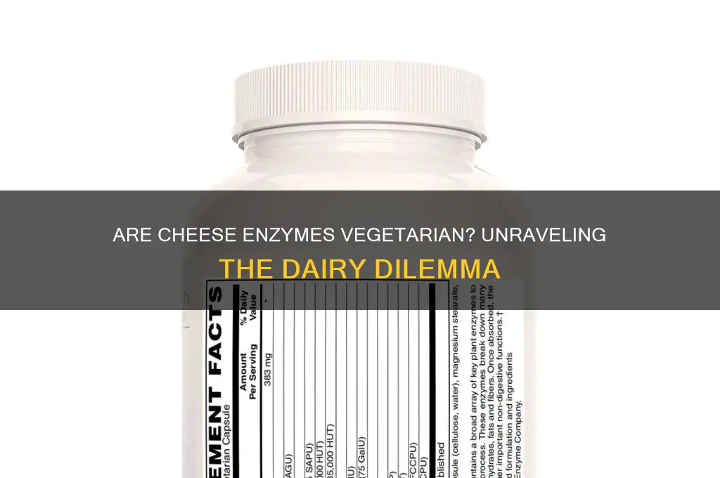 are cheese enzymes vegetarian