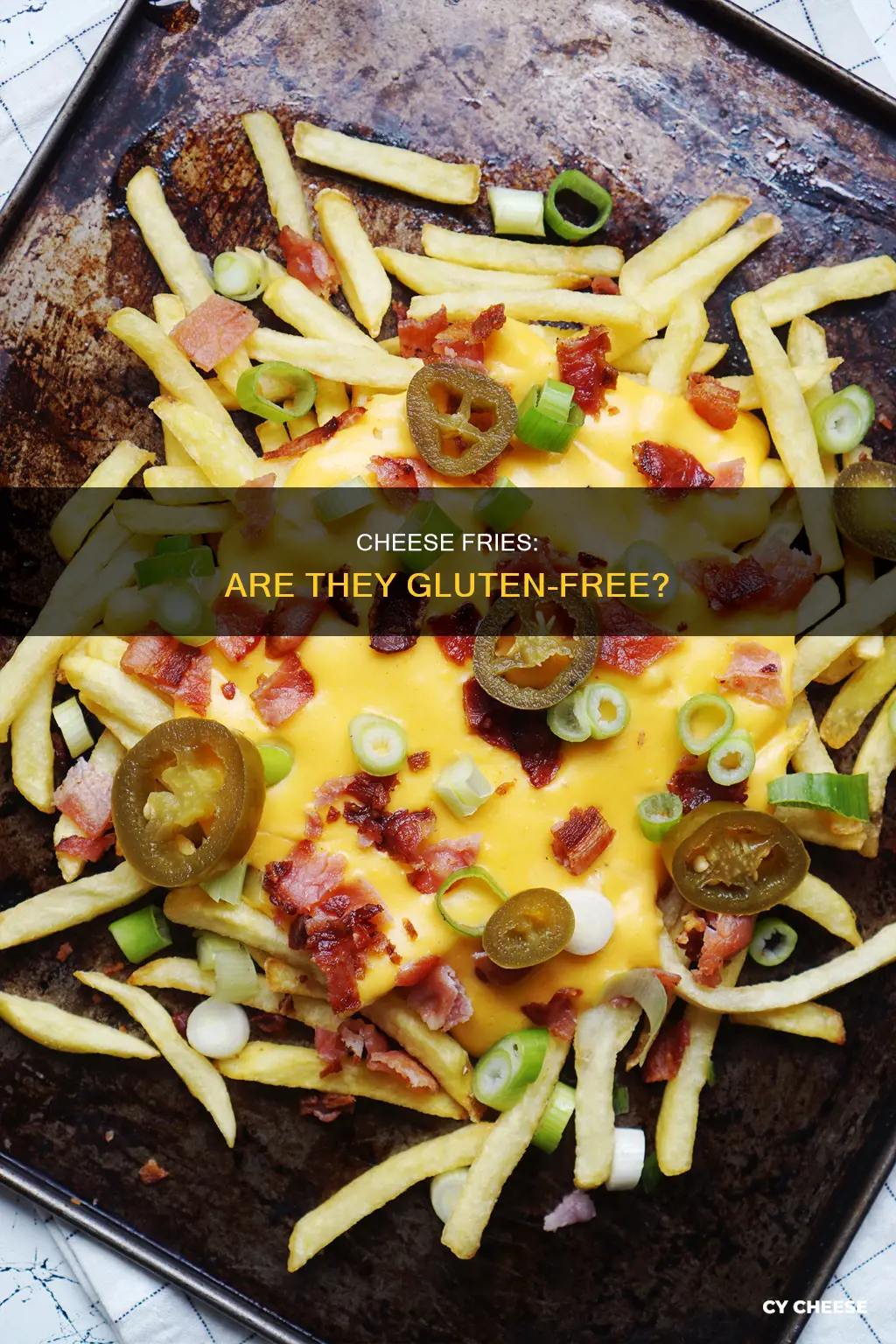 are cheese fries gluten free