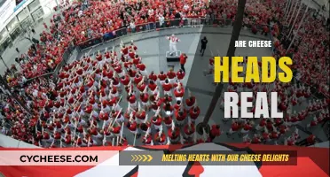 Are Cheeseheads Real? Uncovering the Truth Behind Wisconsin's Iconic Fans